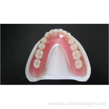 Dental Plastic Holder